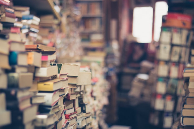 vente-BAUDINARD SUR VERDON-min_books_stack_book_store_stack_of_books_2nd_hand_retro_hipster_shop-829090